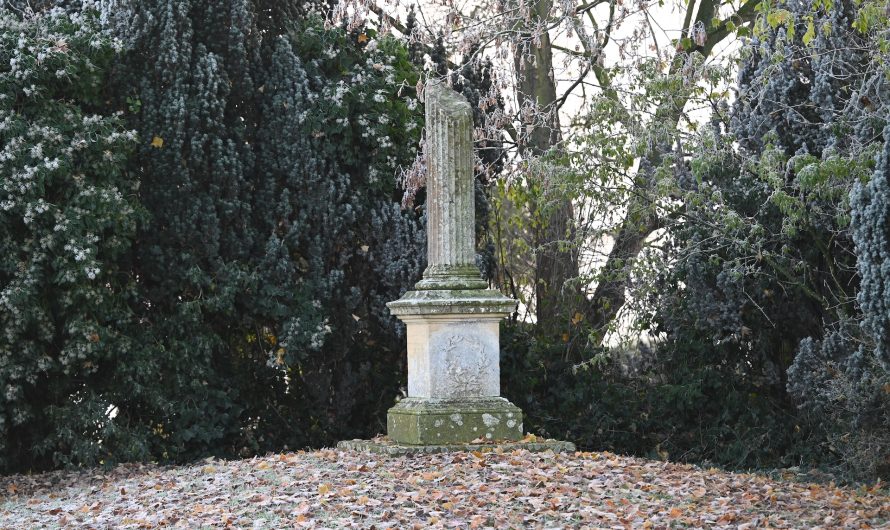 Images – 14/15 December 2022