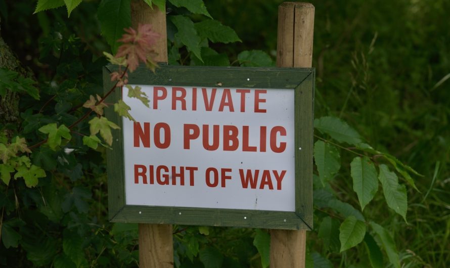 Images – 8 July 2021